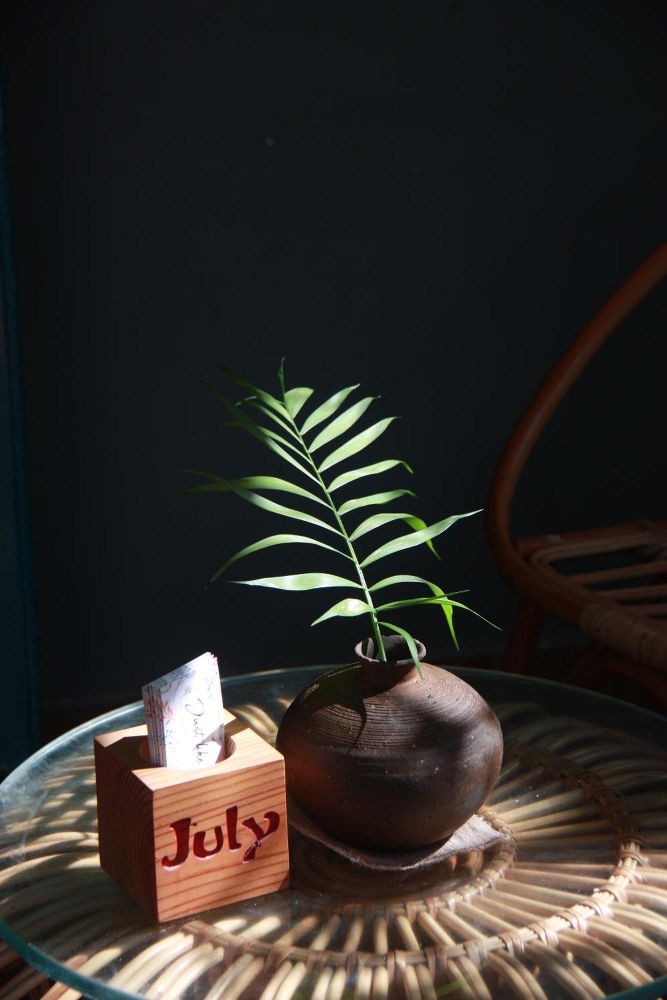 Nguyen Can 3 Phong Ngu - July Homestay Phu Yen Phuong Sau 외부 사진
